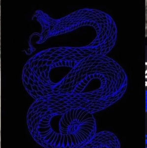 Meet your Posher, Janessa